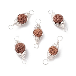 Platinum Natural Rudraksha Copper Wire Wrapped Connector Charms, Oval Links, Undyed, Platinum, 25~35x10~11.5x9.5~10mm, Hole: 4mm