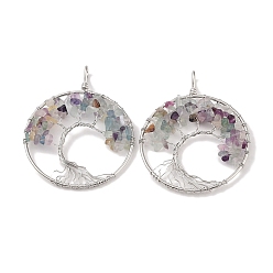 Флюорит Натуральные флюоритовые подвески, с платиновой и латунной фурнитурой, долговечный, без свинца и без кадмия, плоские круглые с деревом, 62x49x6~13 мм, отверстие : 7x4 мм