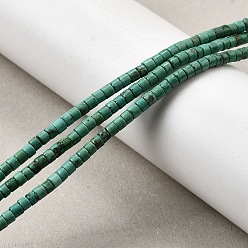 Средний Аквамарин Природные Говлит бисер нитей, окрашенные, диск, Heishi бусы, средний аквамарин, 3x2~2.5 мм, отверстие : 0.5 мм, около 152~155 шт / нитка, 14.96~15.16'' (38~38.5 см)