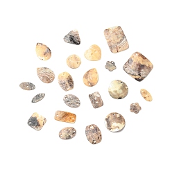 (52) Непрозрачная лаванда Натуральные перламутровые пуговицы смешанной формы, овал и прямоугольник и капля, разноцветные, 5.5~22.5x5.5~25x1.5~3 мм, отверстие : 1.5~2 мм