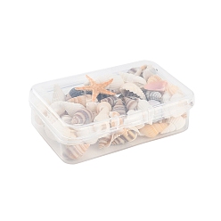 Морская Ракушка Натуральная раковина, пляжная тематическая вечеринка, diy craft, украшения для дома, цвет морской раковины, 15.5~28x7.5~21.5x2.5~10 мм, 42 шт / коробка