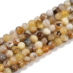 Желтый Опал Природные желтые опал бусины пряди, круглые, 6 мм, отверстие : 0.9 мм, около 59~60 шт / нитка, 14.76~14.96 дюйм (37.5~38 см)