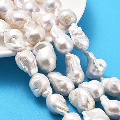 (404) Непрозрачное AB Кислое яблоко Нити натуральных бусин с ядровым жемчугом, барочная жемчужина кеши жемчужина, самородки, класс 4а+, цветочный белый, 19~27x13~20x13~16 мм, отверстие : 0.6 мм, около 17~19 шт / нитка, 15.75''~16.14'' (40~41 см)