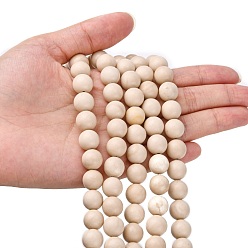 Fossil Natural Fossil Beads Strands, Round, 10mm, Hole: 1mm, about 41pcs/strand, 15.5 inch