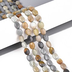 Flower Amazonite Натуральный цветок амазонитовые бусины пряди, Плоско-овальные, 8x6x4 мм, отверстие : 0.8 мм, около 48~49 шт / нитка, 14.88~15.16'' (37.8~38.5 см)