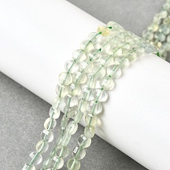 Пренит Природные пренит нитей бисера, граненый квадратный разрез, плоско-круглые, 4x2.5 мм, отверстие : 0.7 мм, около 111 шт / нитка, 15.24'' (38.7 см)