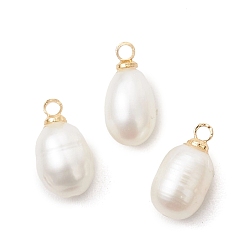 Настоящее золото 18K Подвески из натурального пресноводного жемчуга, рисовые амулеты с латунными креплениями, белые, реальный 18 k позолоченный, 13~13.5x7~7.5 мм, отверстие : 1.6 мм