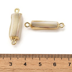 Golden Natural Trochus Shell Pendants, with Brass Findings, Rectangle Charms, Golden, 22~28x6~11x4.5~8mm, Hole: 1.8mm