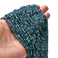 Апатит Природного апатита нитей бисера, граненые круглые, 3 мм, отверстие : 0.6 мм, около 135~140 шт / нитка, 14.88~15.20'' (37.8~38.6 см)