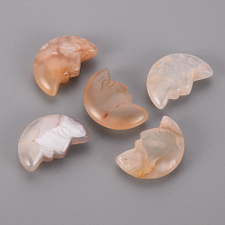 Cherry Blossom Agate Natural Cherry Blossom Agate Beads, No Hole/Undrilled, Moon, 29.5~30.5x21x9.5mm