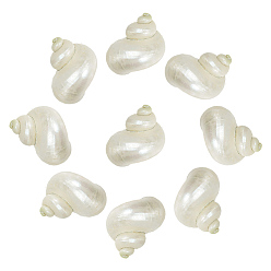 Морская Ракушка 10 шт. мини-бусины из натуральных спиральных ракушек, без отверстия , цвет морской раковины, 33x29x25 мм