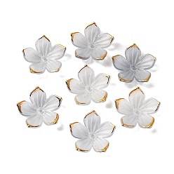 Гейнсборо Прозрачные колпачки акриловая бисера, с золотым краем, цветок, светло-серые, 23.5x1.5 мм, отверстие : 1.5 мм, Около 962 шт / 500 г