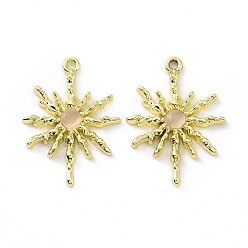 Pink Подвески для кошачьего глаза из сплава, солнечные чары, золотые, розовые, 28.5x20.5x2.5 мм, отверстие : 1.6 мм