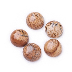 Пейзажный Джаспер Естественная картина яшма кабошоны, полукруглый, 8x3.5~4 мм