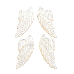 Белый Дым Оболочки губ натуральный черный подвески, морские раковины, 2-луночное, крылатые прелести, серый, 34x15x1.8~2 мм, отверстие : 1 мм