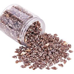 Rosy Brown Sea Shell Beads, Undrilled/No Hole Beads, Rosy Brown, 9~14x6~8x4~6mm