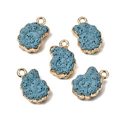 Светло-Голубой Подвески из окрашенного синтетического лавового камня, Подвески в форме раковины с латунной окантовкой, золотые, Небесно-голубой, 20~21x13.5~14x7 мм, отверстие : 2 мм