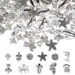 Plata Antigua Abalorios de aleación de estilo tibetano, formas mixtas, plata antigua, 9.5~17x9~16.5x3~12 mm, agujero: 0.9~4 mm, 180 pcs