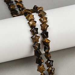 Тигровый глаз Природных тигровый глаз бисер нитей, звезда, 7.5x8x4.5 мм, отверстие : 0.8 мм, около 57 шт / нитка, 15.24 дюйм (38.7 см)