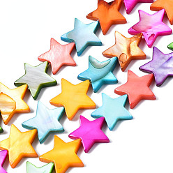 (52) Непрозрачная лаванда Естественных пресноводных оболочки бисер нитей, окрашенные, звезда, разноцветные, 14~15x14~16x3 мм, отверстие : 0.8 мм, около 32~33 шт / нитка, 15.35 дюйм (39 см)