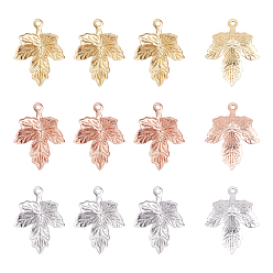 Gemischte Farbe 30Stk. 3 Farben Messing Anhänger, Bleifrei und Cadmiumfrei und Nickel frei, Blatt, Gemischte Farbe, 15.5x12x2 mm, Bohrung: 1 mm, 10 Stk. je Farbe