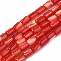 Красный Натуральная оболочка из трохидных оболочек, окрашенные, колонка, красные, 4~5x3~3.5 мм, отверстие : 0.9 мм, около 77~78 шт / нитка, 15.55 дюйм ~ 15.75 дюйм (39.5~40 см)