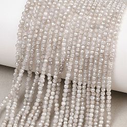 Верблюжий Бусины из кубического циркония, граненые круглые, верблюжие, 2 мм, отверстие : 0.6 мм, около 187 шт / нитка, 14.76 дюйм (37.5 см)