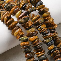 Тигровый глаз Нити бусин из натурального желто-синего тигрового глаза, самородки, окрашенные, 8~17.5x7~14x2~5 мм, отверстие : 0.8 мм, 15.55~15.94'' (39.5~40.5 см)