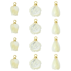 Золотой 12 шт. 3 стили подвески-цветы из натуральных ракушек, с латунной поручительств, цветочный белый, золотые, 11.5~13.5x7.5~10.5x5~8 мм, отверстие : 1.2~1.4 мм, 4 шт / стиль