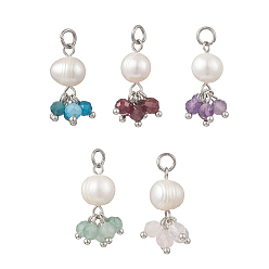 Нержавеющая Сталь Цвет Подвески из натурального зеленого авантюрина, граната, аметиста, розового кварца, апатита, ограненные круглые и картофельные жемчужины, подвески-кисточки с бусинами и 304 соединительными кольцами из нержавеющей стали, разноцветные, цвет нержавеющей стали, 21.5x11 мм, отверстие : 3.3 мм