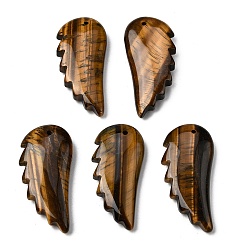 Тигровый глаз Природных тигровый глаз подвески, крылатые прелести, 43~43.5x20~20.5x18~18.5 мм, отверстие : 1.5 мм