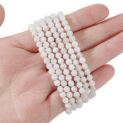 Лунный Камень 2 нити из натуральных бусин из лунного камня, граненые круглые, 4x3 мм, отверстие : 1 мм, около 90 шт / нитка