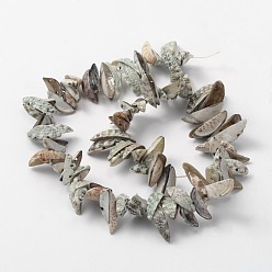 Other Sea Shell Natural Sea Shell Boat Bead Strands, 18~24x5~8mm, Hole: 1mm, about 92pcs/strand, 13.8 inch