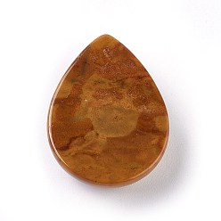 Indian Agate Natural Indian Agate Cabochons, teardrop, 30x22x7mm