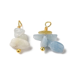 Морганит Природные морганит подвески, Подвески-самородки с петлями из латуни, покрытыми настоящим золотом 18k, 13~19x7~13x5~7 мм, отверстие : 1.5~1.6 мм