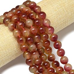 Коричневый Натуральный Malaysia нефритовые бусы пряди, окрашенная и подогревом, круглые, кофе, 14 мм, отверстие : 1.5 мм, около 27 шт / нитка, 14.96'' (38 см)