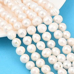 Бежевый Нити из натурального культивированного пресноводного жемчуга, картофель, класс 2, бежевые, 10~11 мм, отверстие : 0.6 мм, около 36 шт / нитка, 13.54'' (34.4 см) ~ 13.66'' (34.7 см)