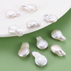 Морская Ракушка Натуральный кеши жемчуг бисер, культивированный пресноводный жемчуг, нет отверстий / незавершенного, слеза, цвет морской раковины, 19~20x12~14x5~9 мм