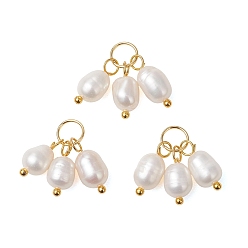 Белый Натуральный культивированный пресноводный жемчуг 3 рисовые амулеты, с 304 фурнитурой из нержавеющей стали, золотые, белые, 12.5~13.5x5.5~6 мм, Перейти кольцо: 6x0.8 мм, внутренний диаметр: 5 мм