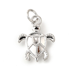 Платина Латунные подвески, без кадмия и без свинца, черепаховые чары, с целью перехода в кольце, платина, 16.5x13x3 мм, отверстие : 3.5 мм