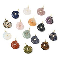 Смешанные камни Подвески из резного камня, выполненные из натуральных и синтетических материалов., Подвески в форме раковины с латунными микропаве из прозрачных кубических цирконий., золотые, стойки покрытие, смешанные окрашенные и неокрашенные, 34x25~26x10 мм, отверстие : 3.5 мм