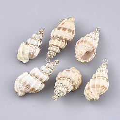 Spiral Shell Electroplate Spiral Shell Pendants, with Iron Findings, Light Gold, 25~48x13~22x11~20mm, Hole: 1.8mm