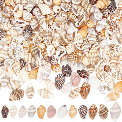 Дригие Морские Ракушки 400шт. бусины из ракушек, для изготовления рукоделия, 11~14x6~8 мм, отверстие : 1 мм