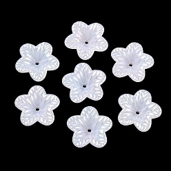 Морская Ракушка Покрытие непрозрачный акриловый имитация ракушки колпачок, цветок, цвет морской раковины, 17.5x18x5 мм, отверстие : 1.5 мм, Около 1380 шт / 500 г