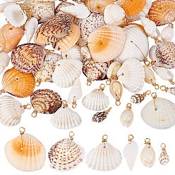 (52) Непрозрачная лаванда 60шт 6 стили натуральные подвески из смешанных ракушек, Подвески в форме ракушки с петлями из медной проволоки, смешанные окрашенные и неокрашенные, золотой свет, разноцветные, 19~34 мм, отверстие : 3.3 мм, 10 шт / стили
