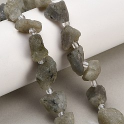 Labradorite Natural Labradorite Beads Strands, Raw Rough, Nuggets, with Seed Beads, 13~23x12~16x6~13mm, Hole: 1mm, about 11~13pcs/strand, 7.44''(18.9cm)~7.99''(20.3cm)