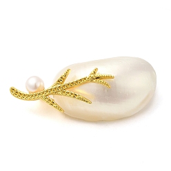 Белый Овальные женские броши из натуральных белых ракушек овальной формы, с латунной булавкой и жемчужиной, Позолота, белые, 24~24.5x49.5~57x14~18.5 мм