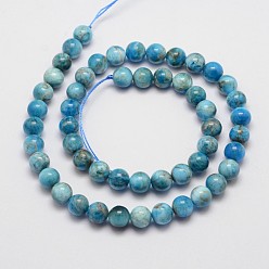 Apatite Natural Apatite Beads Strands, Grade AB, Round, 8mm, Hole: 1mm, about 49pcs/strand, 14.9 inch(38cm)