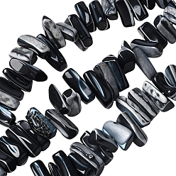 Черный 1 нити из натуральных окрашенных ракушек-трохусов, самородки, чёрные, 9~21x5~7x6~8 мм, отверстие : 1.2 мм, около 54~67 шт / нитка, 14.76~15.24 дюйм (37.5~38.7 см)