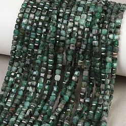 Изумруд Натуральные изумрудные бисерные пряди, граненый стол, вырезанный куб, 3~3.5x3~3.5x3 мм, отверстие : 0.7 мм, около 128 шт / нитка, 15.43'' (39.2 см)